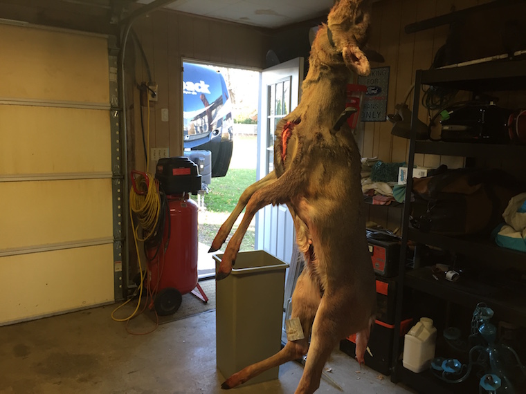 The deer in the family's garage. (Photo by Jenna Gaidosh).